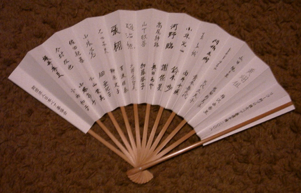 2008 RICOH Cup fan