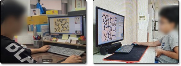 Picture 1: Examples of the setup of the video recording on a Skype enabled camera or smartphone