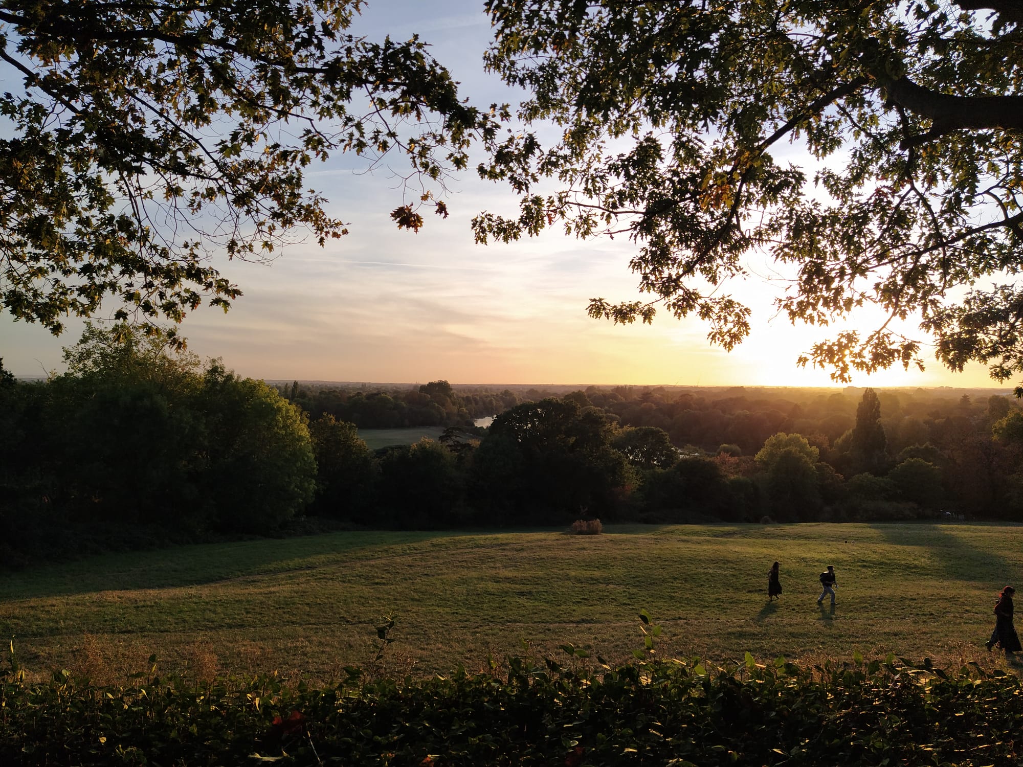 Richmond Hills view